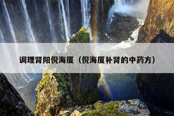 调理肾阳倪海厦（倪海厦补肾的中药方）