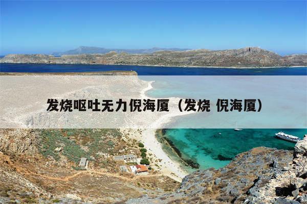 发烧呕吐无力倪海厦(发烧 倪海厦)