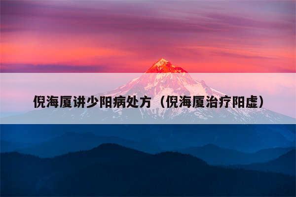 倪海厦讲少阳病处方（倪海厦治疗阳虚）