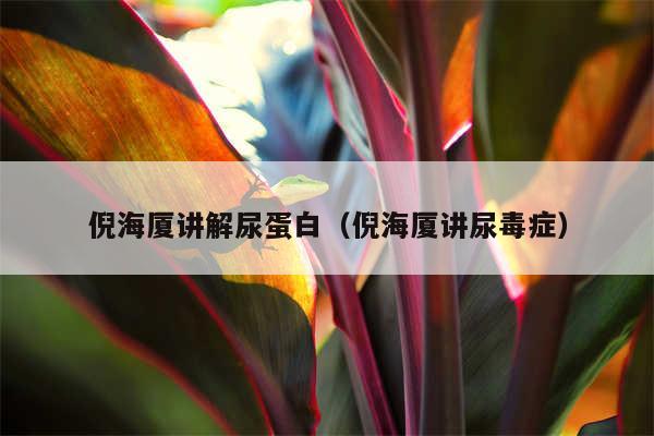 倪海厦讲解尿蛋白(倪海厦讲尿毒症)