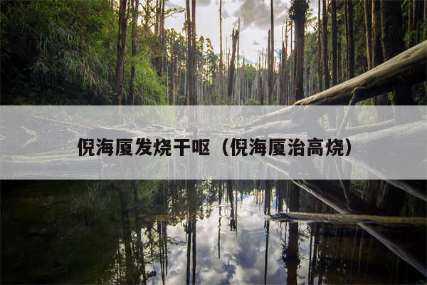 倪海厦发烧干呕(倪海厦治高烧)