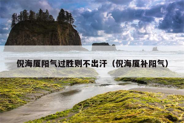 倪海厦阳气过胜则不出汗（倪海厦补阳气）