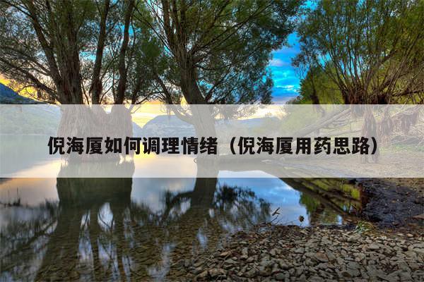 倪海厦如何调理情绪（倪海厦用药思路）