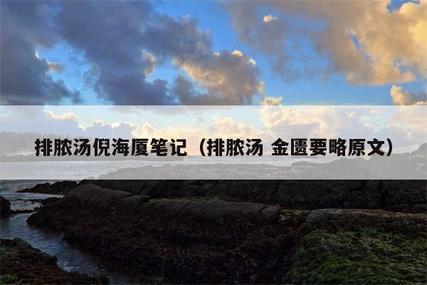 排脓汤倪海厦笔记（排脓汤 金匮要略原文）