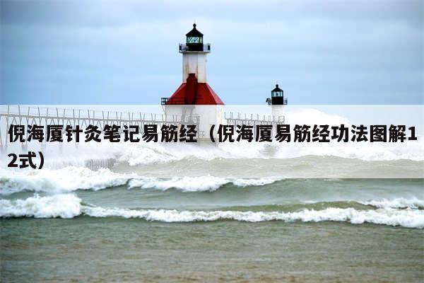 倪海厦针灸笔记易筋经（倪海厦易筋经功法图解12式）