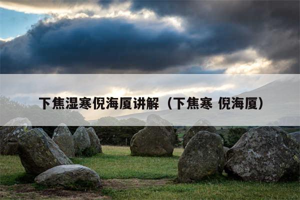 下焦湿寒倪海厦讲解(下焦寒 倪海厦)