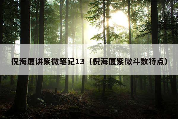 倪海厦讲紫微笔记13（倪海厦紫微斗数特点）