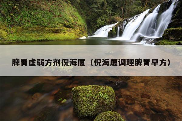 脾胃虚弱方剂倪海厦（倪海厦调理脾胃早方）