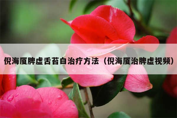 倪海厦脾虚舌苔白治疗方法（倪海厦治脾虚视频）