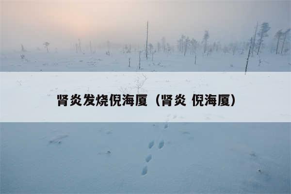 肾炎发烧倪海厦（肾炎 倪海厦）