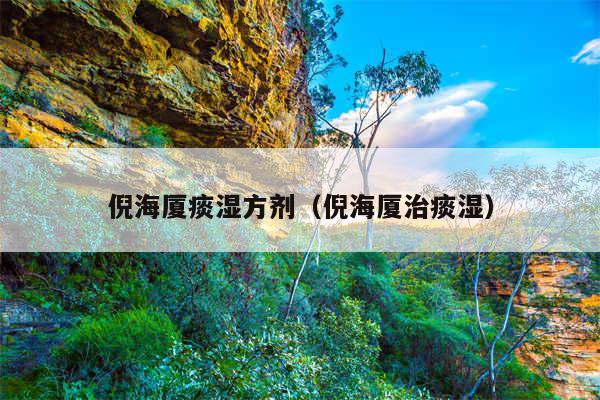 倪海厦痰湿方剂(倪海厦治痰湿)