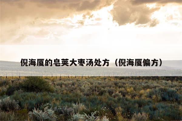 倪海厦的皂荚大枣汤处方(倪海厦偏方)