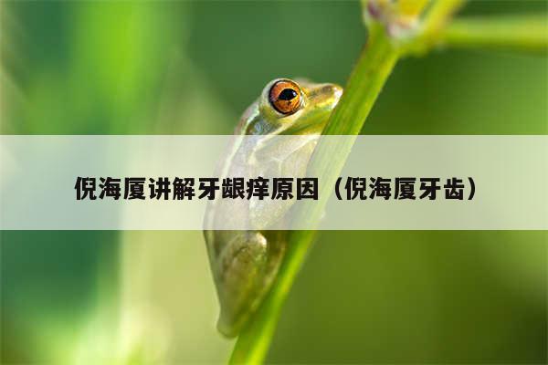 倪海厦讲解牙龈痒原因(倪海厦牙齿)