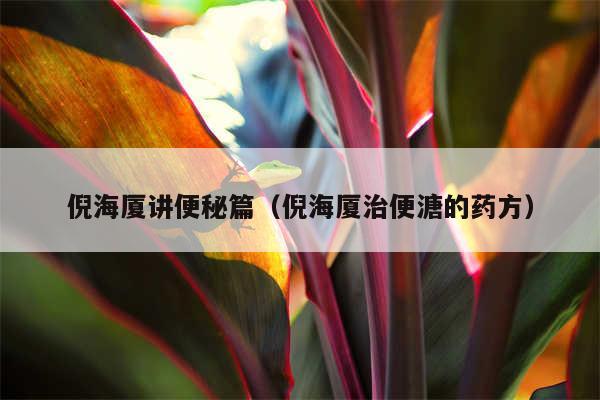 倪海厦讲便秘篇(倪海厦治便溏的药方)