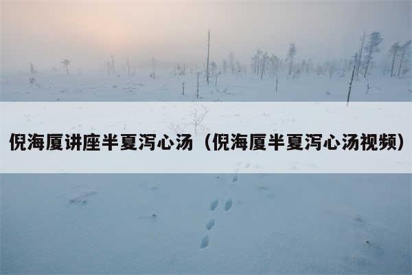 倪海厦讲座半夏泻心汤(倪海厦半夏泻心汤视频)