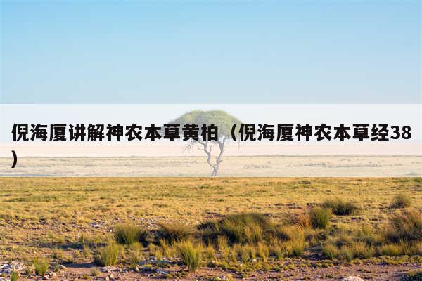 倪海厦讲解神农本草黄柏（倪海厦神农本草经38）