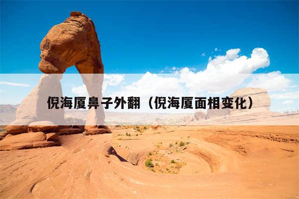 倪海厦鼻子外翻(倪海厦面相变化)