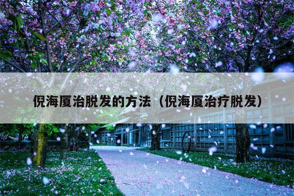 倪海厦治脱发的方法(倪海厦治疗脱发)