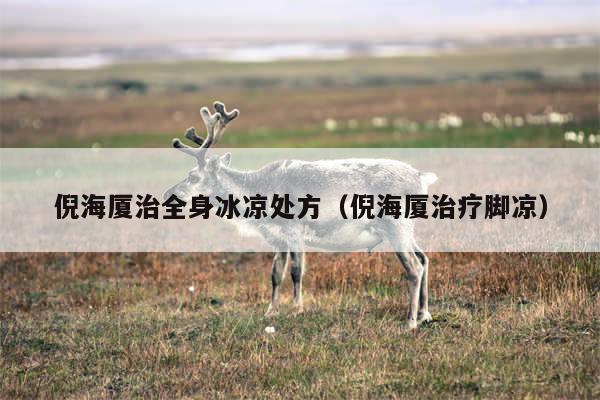 倪海厦治全身冰凉处方(倪海厦治疗脚凉)