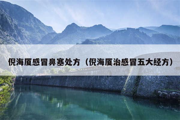 倪海厦感冒鼻塞处方(倪海厦治感冒五大经方)