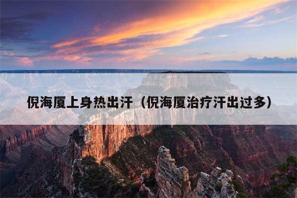 倪海厦上身热出汗（倪海厦治疗汗出过多）