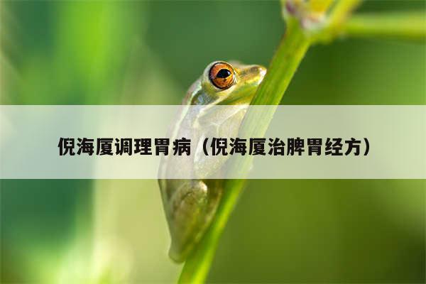 倪海厦调理胃病（倪海厦治脾胃经方）