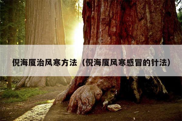倪海厦治风寒方法(倪海厦风寒感冒的针法)