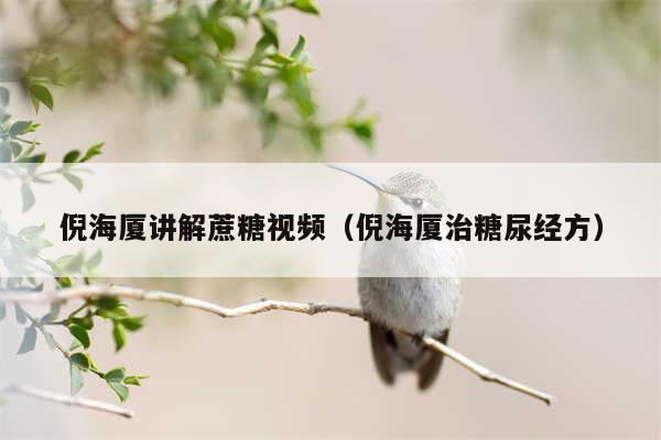 倪海厦讲解蔗糖视频（倪海厦治糖尿经方）