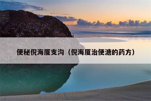 便秘倪海厦支沟（倪海厦治便溏的药方）