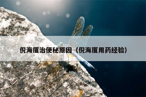 倪海厦治便秘原因（倪海厦用药经验）