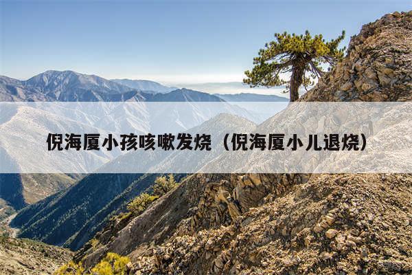 倪海厦小孩咳嗽发烧(倪海厦小儿退烧)