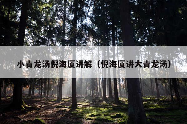 小青龙汤倪海厦讲解(倪海厦讲大青龙汤)