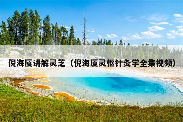 倪海厦讲解灵芝（倪海厦灵枢针灸学全集视频）