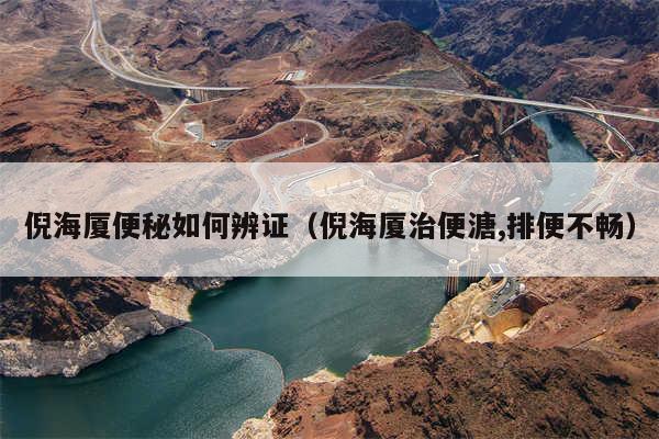 倪海厦便秘如何辨证（倪海厦治便溏,排便不畅）