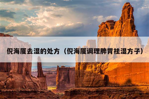 倪海厦去湿的处方（倪海厦调理脾胃祛湿方子）