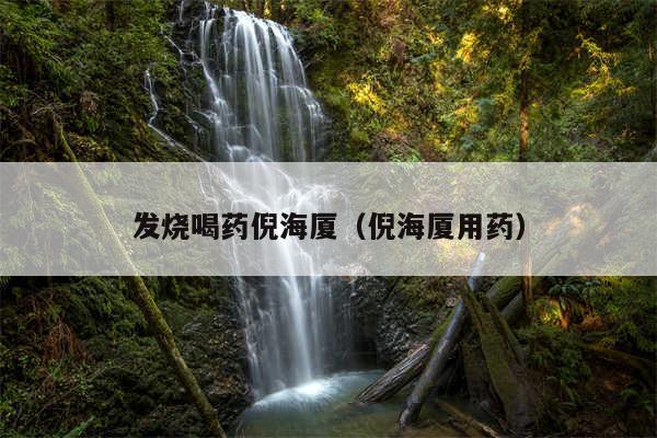 发烧喝药倪海厦（倪海厦用药）