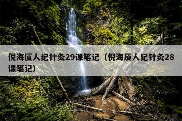 倪海厦人纪针灸29课笔记（倪海厦人纪针灸28课笔记）