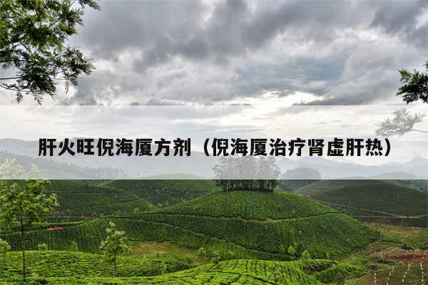 肝火旺倪海厦方剂（倪海厦治疗肾虚肝热）