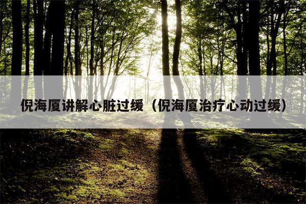 倪海厦讲解心脏过缓(倪海厦治疗心动过缓)