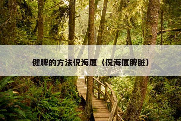 健脾的方法倪海厦(倪海厦脾脏)