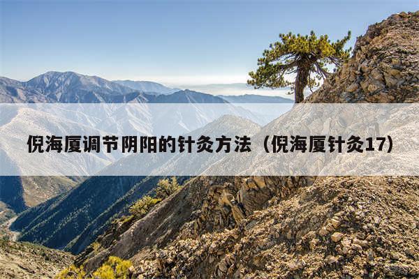 倪海厦调节阴阳的针灸方法（倪海厦针灸17）