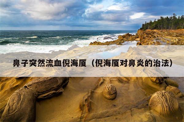 鼻子突然流血倪海厦(倪海厦对鼻炎的治法)