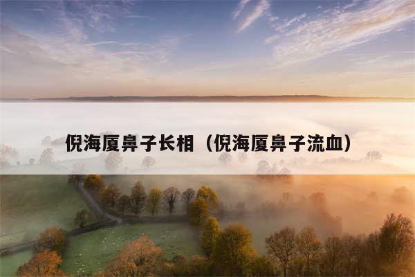 倪海厦鼻子长相（倪海厦鼻子流血）