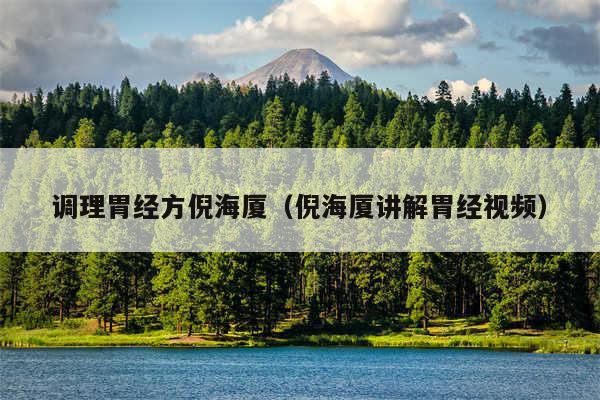 调理胃经方倪海厦（倪海厦讲解胃经视频）