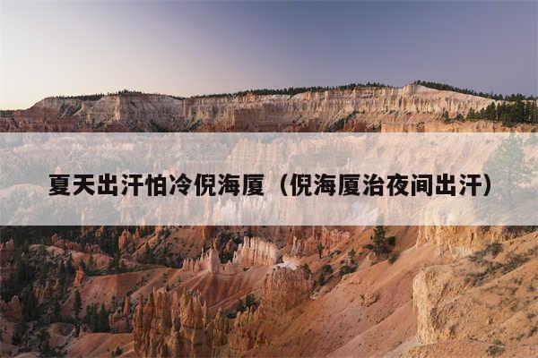 夏天出汗怕冷倪海厦（倪海厦治夜间出汗）