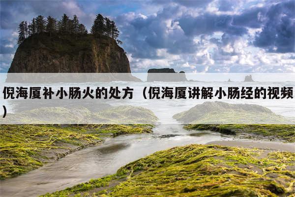 倪海厦补小肠火的处方（倪海厦讲解小肠经的视频）