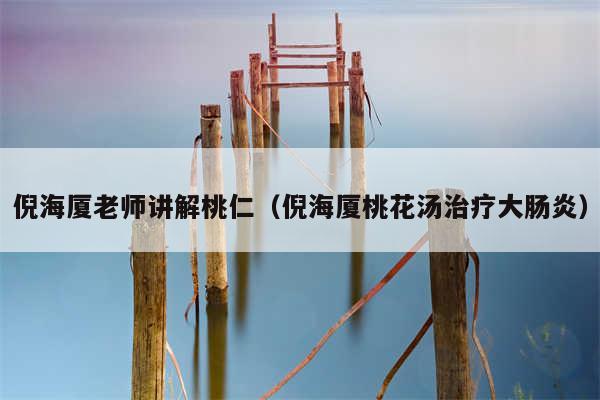 倪海厦老师讲解桃仁（倪海厦桃花汤治疗大肠炎）