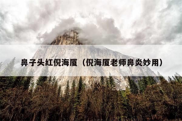 鼻子头红倪海厦（倪海厦老师鼻炎妙用）