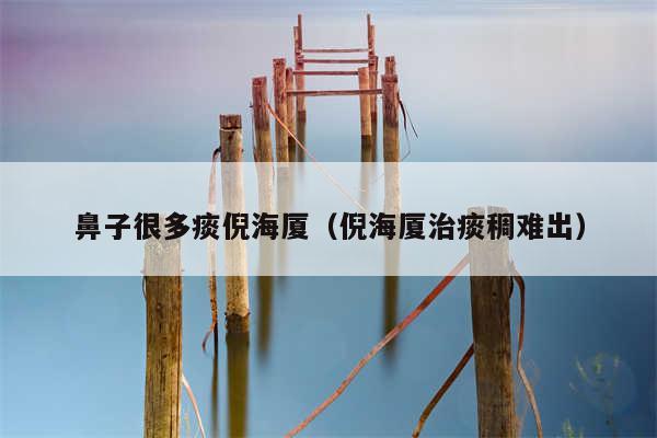 鼻子很多痰倪海厦（倪海厦治痰稠难出）