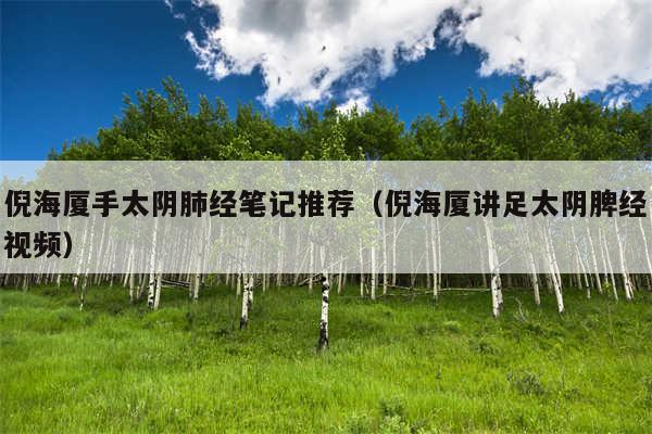 倪海厦手太阴肺经笔记推荐（倪海厦讲足太阴脾经视频）